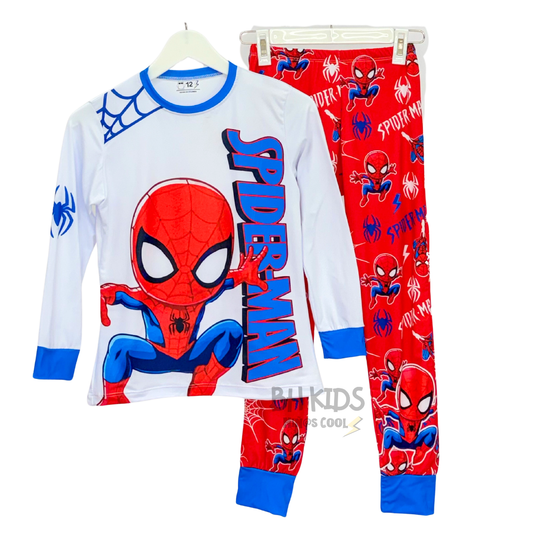 MINI-SPIDER PT+ML